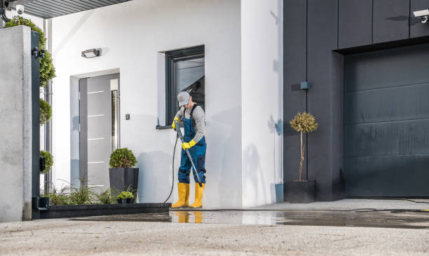 Best Paint Preparation  in Lemoore, CA
